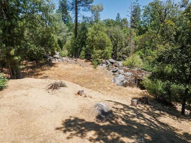 5566 Darrah Rd, Mariposa, CA 95338 - view of yard