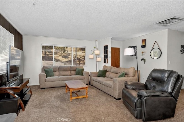 5566 Darrah Rd, Mariposa, CA 95338 - living area featuring carpet flooring and a textured ceiling