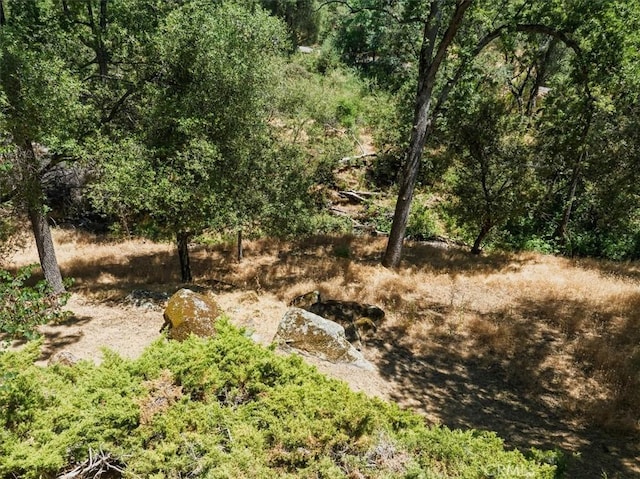 5566 Darrah Rd, Mariposa, CA 95338 - view of undeveloped land