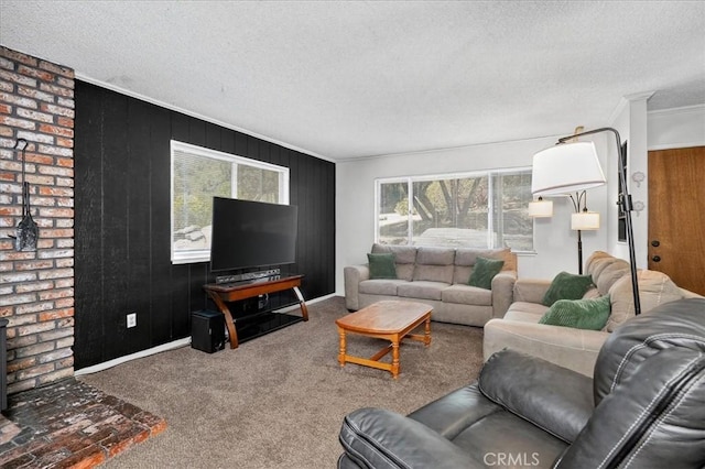 5566 Darrah Rd, Mariposa, CA 95338 - carpeted living area with plenty of natural light, a textured ceiling, ornamental molding, and wood walls
