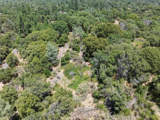5566 Darrah Rd, Mariposa, CA 95338 - drone / aerial view of a forest