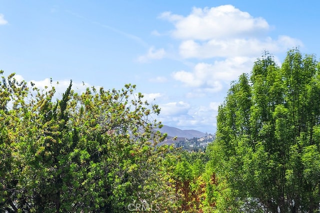 1214 Wilder St, Thousand Oaks, CA 91362 - view of mountain backdrop