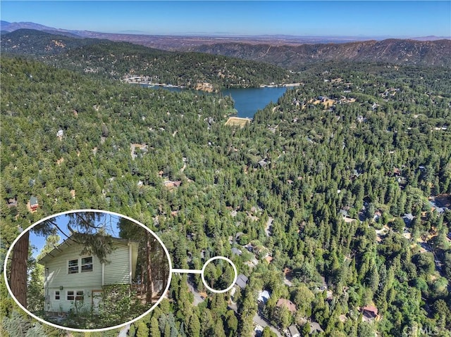24891 Felsen Dr, Crestline, CA 92325 - photo 1
