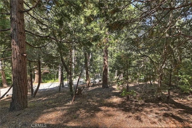 24891 Felsen Dr, Crestline, CA 92325 - photo 34