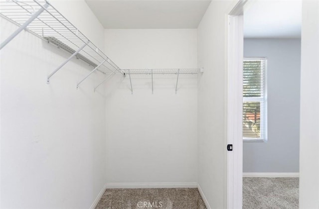 43024 Beamer Ct, Temecula, CA 92592 - walk in closet with carpet flooring