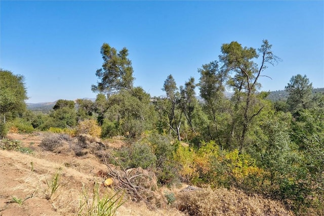 4729 Lookout Mountain Rd, Mariposa, CA 95338 - view of woods