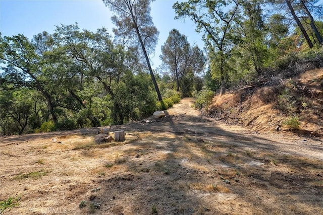 4729 Lookout Mountain Rd, Mariposa, CA 95338 - view of undeveloped land