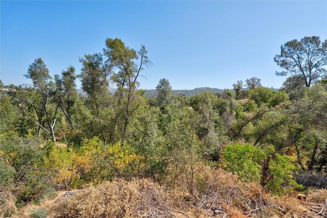 4729 Lookout Mountain Rd, Mariposa, CA 95338 - view of woods