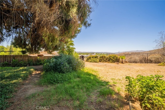 3986 Tomlinson, Riverside, CA 92503 - view of yard