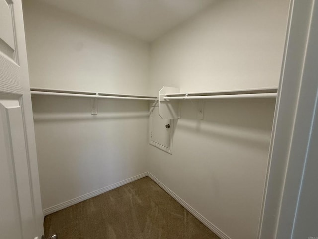 106 Chesapeake Ct, San Marcos, CA 92069 - spacious closet featuring carpet floors
