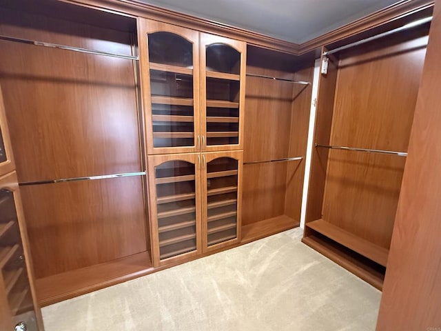 106 Chesapeake Ct, San Marcos, CA 92069 - walk in closet with carpet