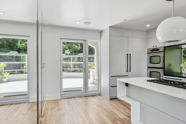 453 Frontenac Ave, Los Angeles, CA 90065 - kitchen with stainless steel appliances, plenty of natural light, light wood-type flooring, light countertops, and recessed lighting