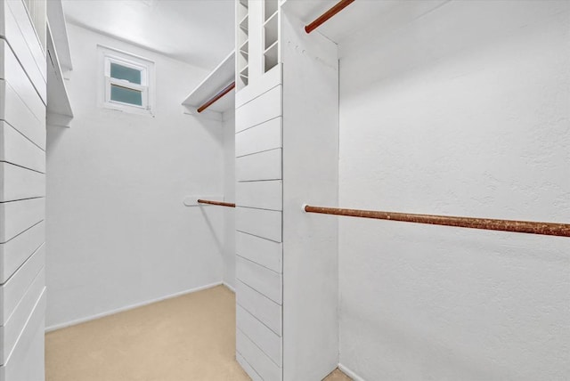 1235 Via Rancho Pkwy, Escondido, CA 92029 - walk in closet with light colored carpet