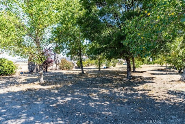 65380 San Lucas Rd, Lockwood, CA 93932 - surrounding community