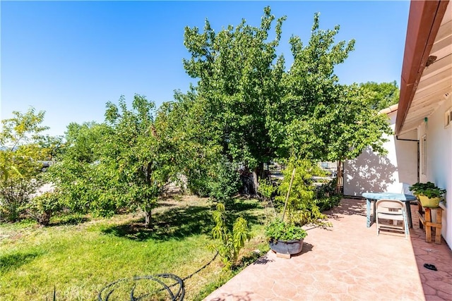 65380 San Lucas Rd, Lockwood, CA 93932 - view of patio / terrace