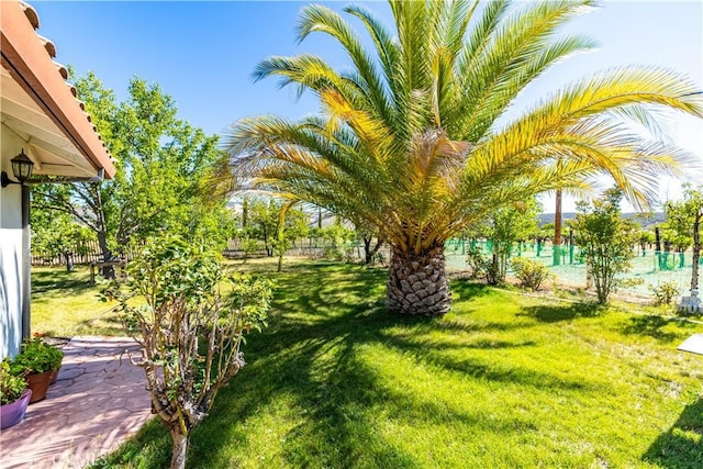 65380 San Lucas Rd, Lockwood, CA 93932 - view of yard
