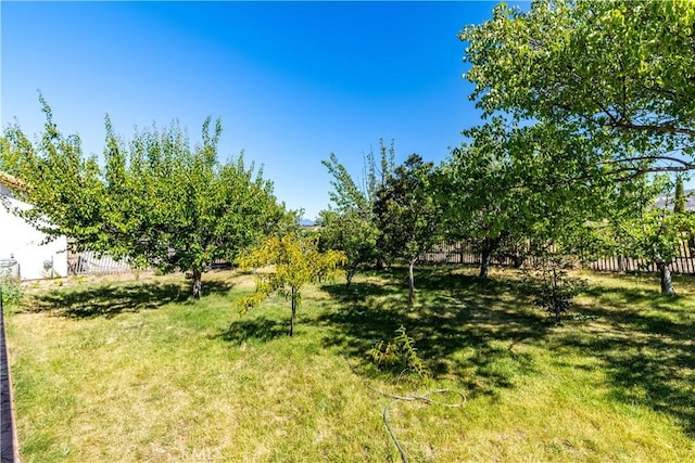 65380 San Lucas Rd, Lockwood, CA 93932 - view of yard