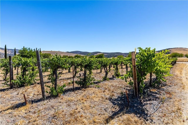 65380 San Lucas Rd, Lockwood, CA 93932 - view of yard with a view of countryside, agricultural area, and a mountain view