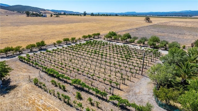 65380 San Lucas Rd, Lockwood, CA 93932 - view of rural area with abundant farmland and a mountainous background