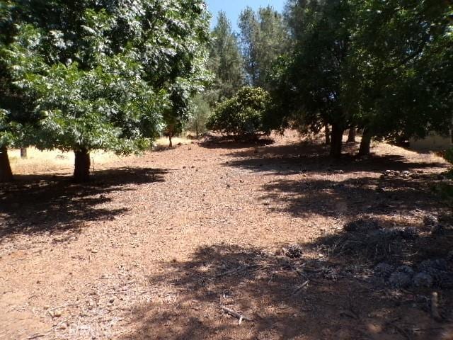 10318 Hok Has Ha Ln, Kelseyville, CA 95453