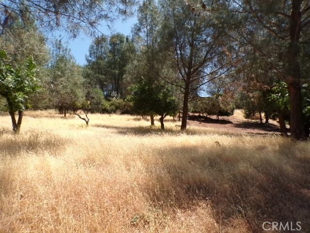 10318 Hok Has Ha Ln, Kelseyville, CA 95453