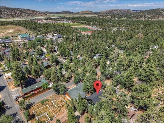 216 Leonard Ln, Big Bear, CA 92386 - aerial view of property's location featuring a mountainous background