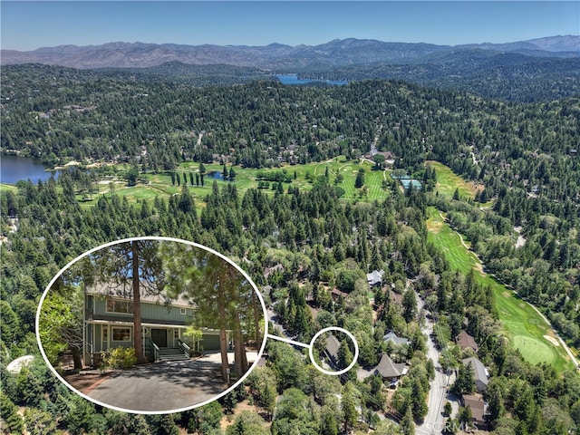 325 Brentwood, Lake Arrowhead, CA 92352 - bird's eye view of a forest and a water and mountain view