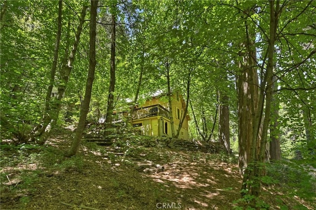 714 Blue Jay Canyon Rd, Lake Arrowhead, CA 92317 - view of tree filled area