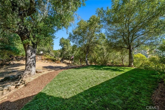 7105 Rayar Rd, Atascadero, CA 93422 - view of green lawn