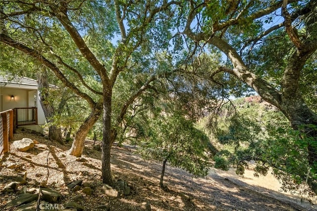 7105 Rayar Rd, Atascadero, CA 93422 - view of yard