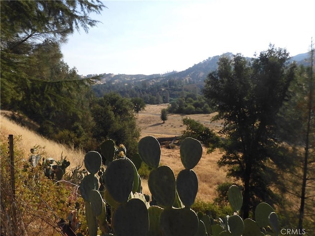 17216 Cedar Way, Clearlake Oaks, CA 95423 - view of mountain backdrop