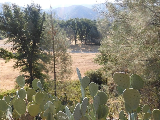 17216 Cedar Way, Clearlake Oaks, CA 95423 - view of yard featuring a mountain view