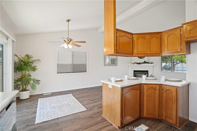 20128 Shadow Island Dr, Canyon Country, CA 91351 - kitchen featuring ceiling fan, light countertops, brown cabinets, dark wood-style floors, and a glass covered fireplace
