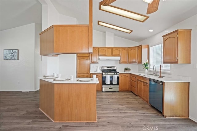 20128 Shadow Island Dr, Canyon Country, CA 91351 - kitchen featuring appliances with stainless steel finishes, lofted ceiling, under cabinet range hood, light countertops, and light wood-style floors
