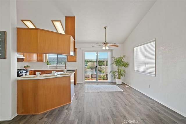 20128 Shadow Island Dr, Canyon Country, CA 91351 - kitchen featuring ceiling fan, vaulted ceiling, wood finished floors, light countertops, and gas range