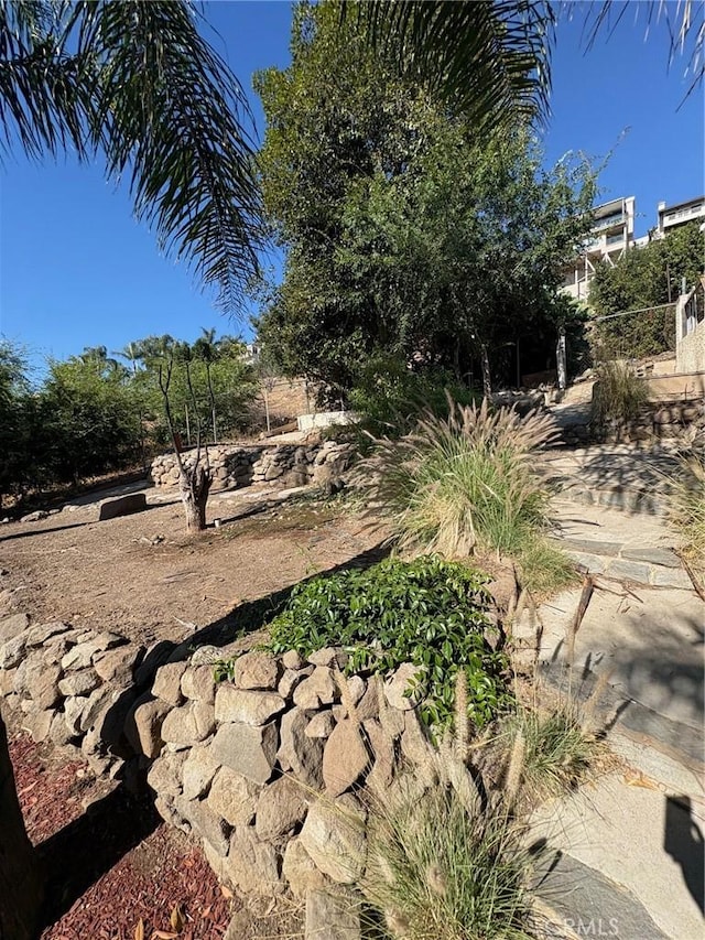 429 S Hill St, Orange, CA 92869 - view of yard