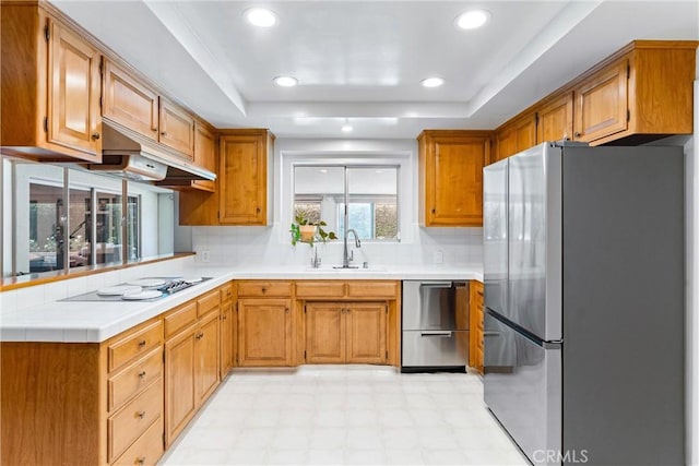 2117 N Westwood Ave, Santa Ana, CA 92706 - kitchen with stainless steel appliances, light floors, a raised ceiling, light countertops, and under cabinet range hood