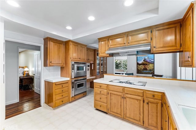 2117 N Westwood Ave, Santa Ana, CA 92706 - kitchen featuring under cabinet range hood, a raised ceiling, appliances with stainless steel finishes, light countertops, and recessed lighting