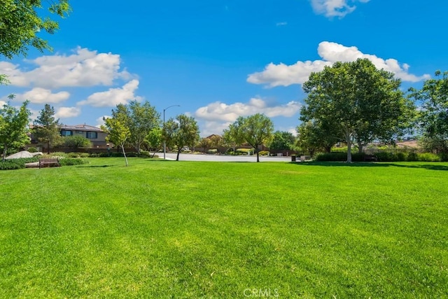 53085 Memorial St, Lake Elsinore, CA 92532 - view of grassy yard