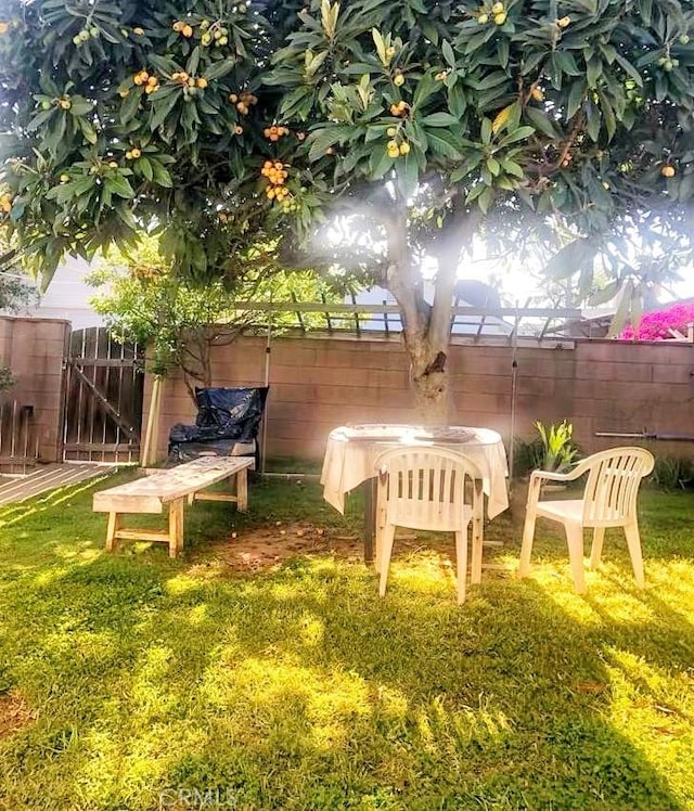917 N Olive Ave, Alhambra, CA 91801 - view of yard