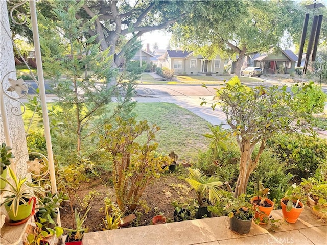 917 N Olive Ave, Alhambra, CA 91801 - view of yard with a residential view