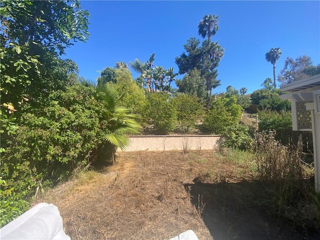 1853 Corte Pulsera, Oceanside, CA 92056 - view of yard