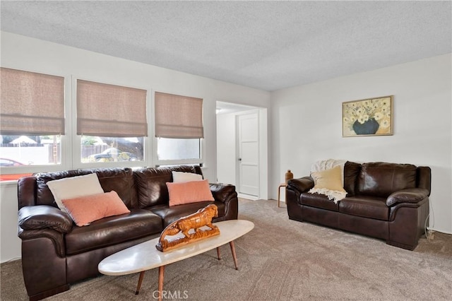 6032 Coke Ave, Long Beach, CA 90805 - carpeted living area with healthy amount of natural light and a textured ceiling