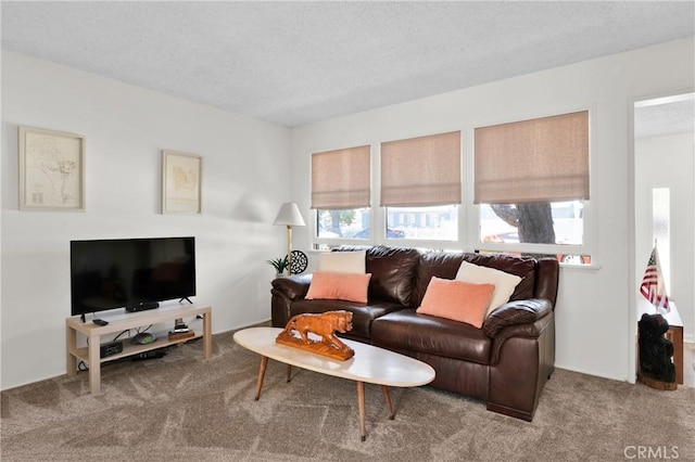 6032 Coke Ave, Long Beach, CA 90805 - living room featuring carpet flooring and a textured ceiling