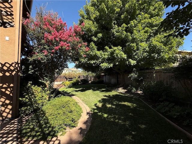 4125 Sattui Ct, Merced, CA 95348 - view of fenced backyard