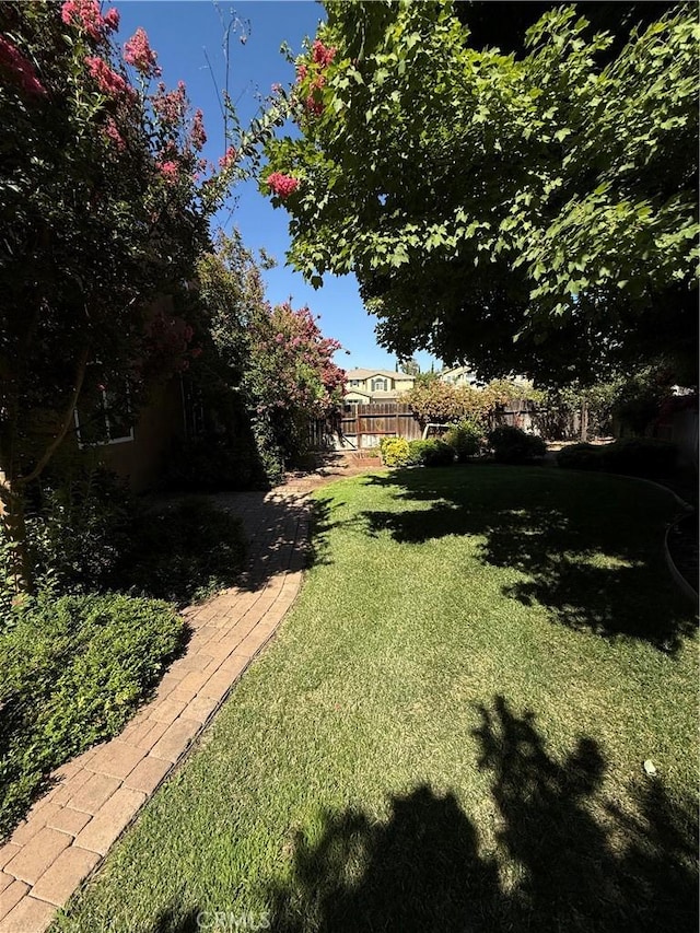 4125 Sattui Ct, Merced, CA 95348 - view of yard