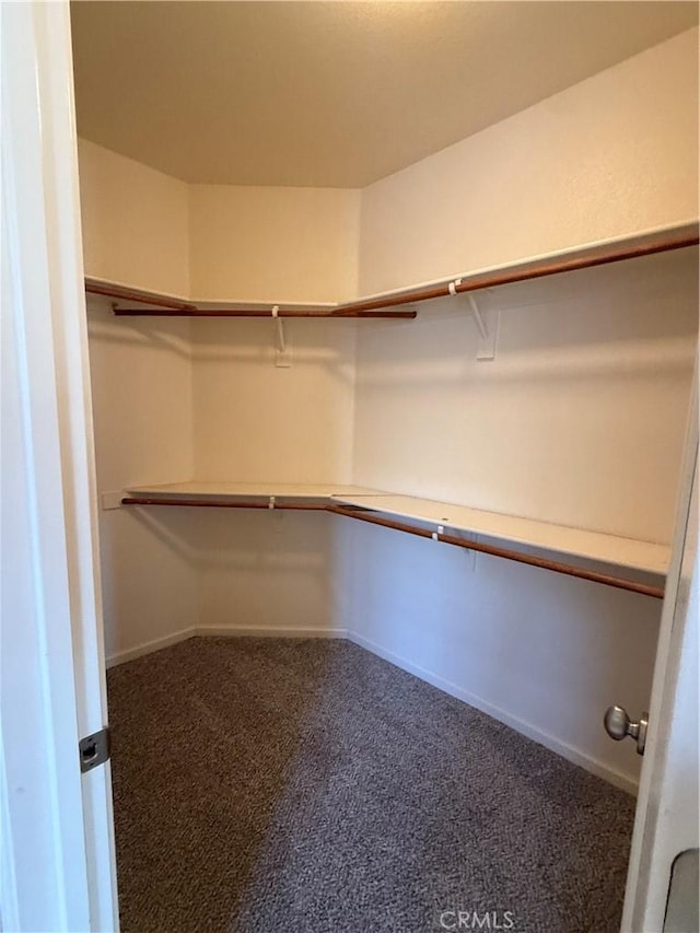 4125 Sattui Ct, Merced, CA 95348 - walk in closet featuring carpet flooring
