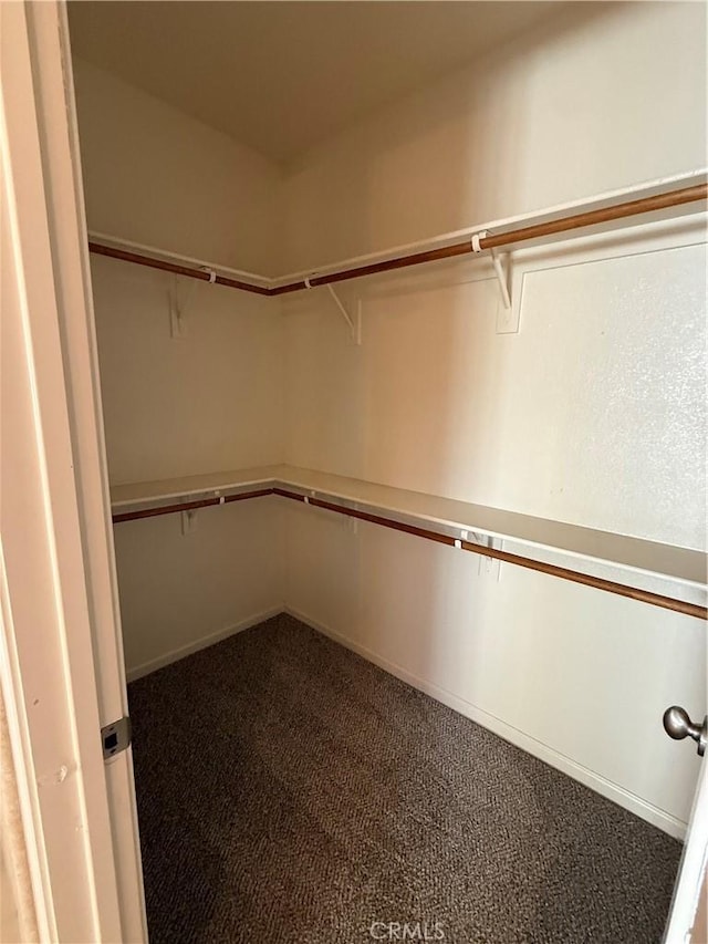 4125 Sattui Ct, Merced, CA 95348 - walk in closet featuring carpet flooring