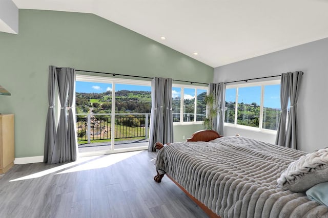 4710 Sleeping Indian Rd, Fallbrook, CA 92028 - bedroom featuring access to exterior, high vaulted ceiling, wood finished floors, and recessed lighting