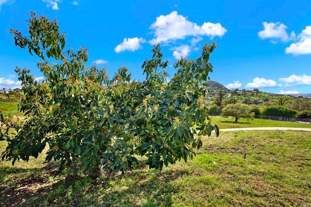 4710 Sleeping Indian Rd, Fallbrook, CA 92028 - view of mountain backdrop
